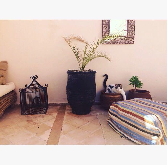 Riad Nejma Lounge Marrakesh Esterno foto