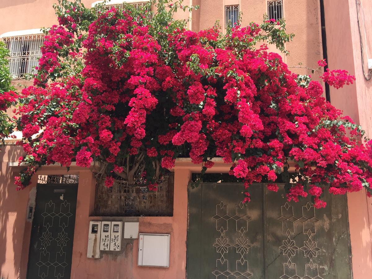 Riad Nejma Lounge Marrakesh Esterno foto