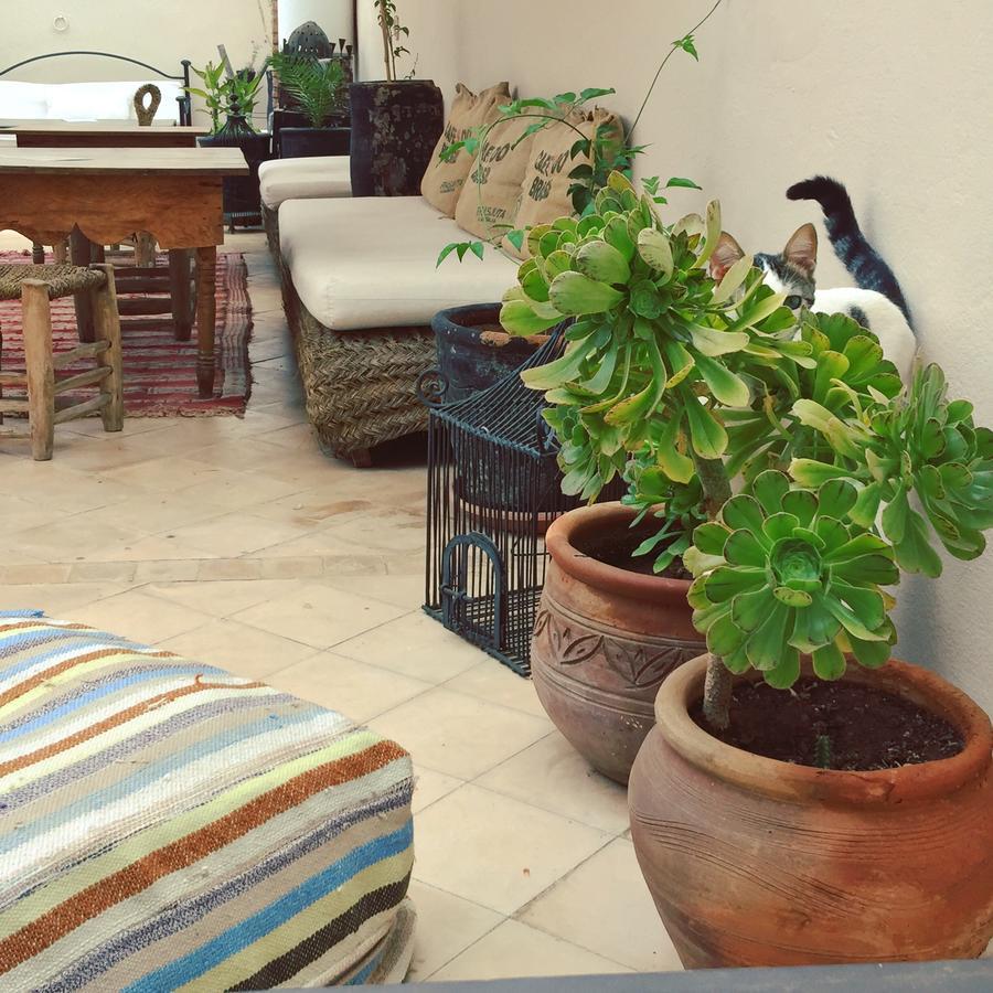 Riad Nejma Lounge Marrakesh Esterno foto